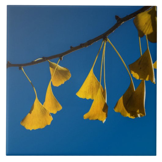 De dans in de Herfst Tegeltje (Voorkant)