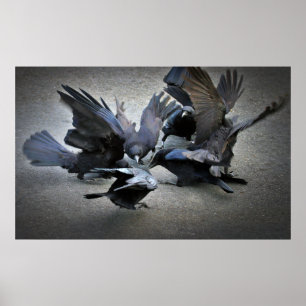 De Dans van de Krogen Poster