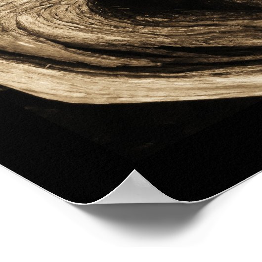 De dansers poster (Hoek)