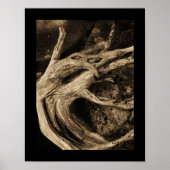 De dansers poster (Voorkant)