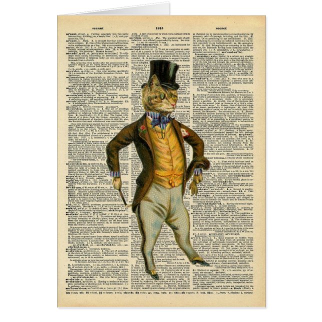 De dapper kat (Voorkant)