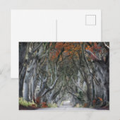 DE DARK HEDGES, BALLYMONEY, IERLAND BRIEFKAART (Voorkant / Achterkant)