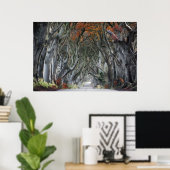 DE DARK HEDGES, BALLYMONEY, IERLAND POSTER (Thuiskantoor)