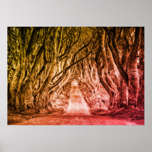 DE DARK HEDGES, CO. ANTRIM, NOORD-IERLAND POSTER