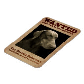 De Dashing Doberman Magnet Magneet (Linkerzijde)