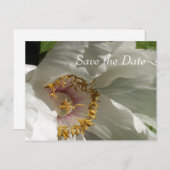 De datum opslaan aankondigingskaart (Voorkant / Achterkant)