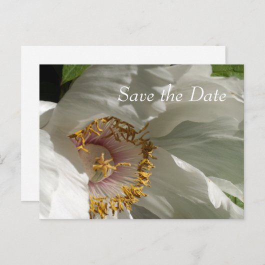 De datum opslaan aankondigingskaart (Voorkant / Achterkant)