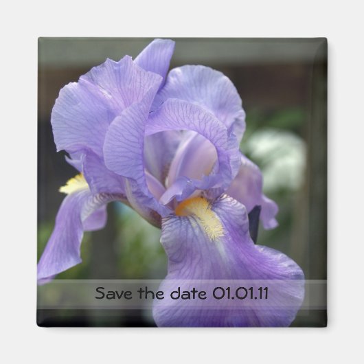 De datum opslaan magneet (Voorkant)