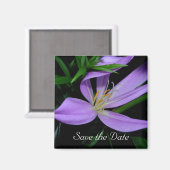 De datum opslaan magneet (Voorkant / Achterkant)