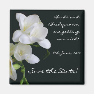 De datummagneet opslaan, Freesias Magneet