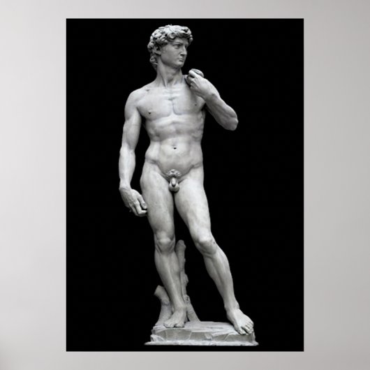 DE DAVID POSTER (Voorkant)