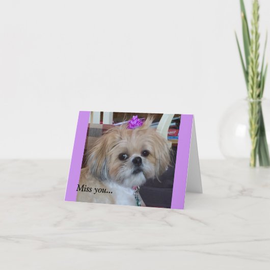 De de dagelijkse Gunst & Glorie van Kaarten (Voorkant)