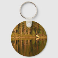 De de douanesleuteketen van de Reflecties van de n