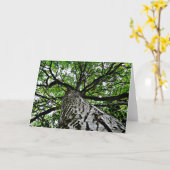 De de zwarte Boomstam en Takken van de Okkernoot Kaart (Gele Bloem)