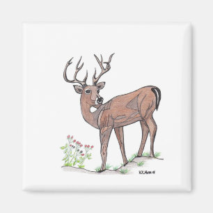 De deer magneet