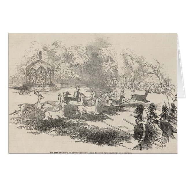 De deer Shooting in Gotha (Voorkant Horizontaal)
