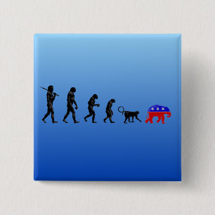 De democratische theorie van de decentralisatie vierkante button 5,1 cm