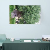 De denkboom in Pugia Spandoek (Beurs)