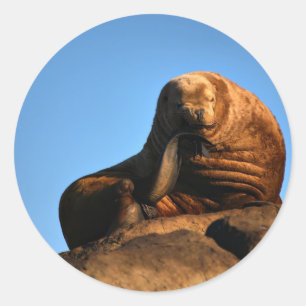 De denker ronde sticker