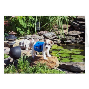 De dentelle le maître nageur