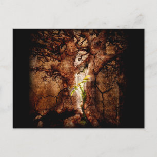 De desolaatjaren herstellen briefkaart