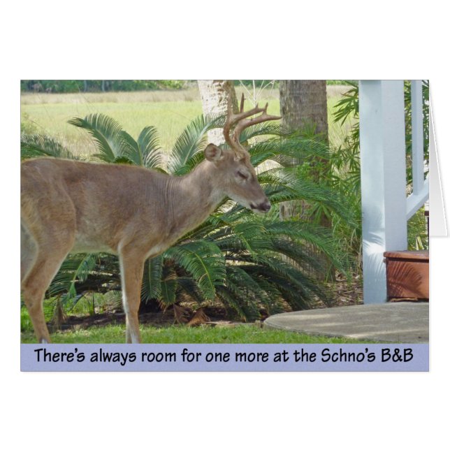 De deur nadert trappen (Voorkant Horizontaal)