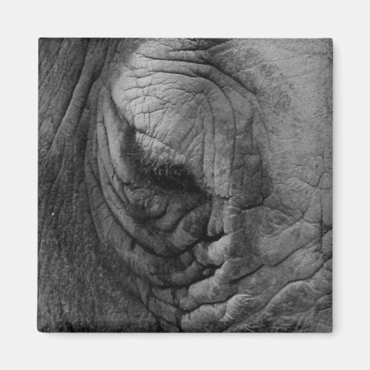 De dingen die ik witte Rhino heb gezien... magneet (Voorkant)