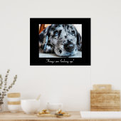 De dingen kijken op! poster (Keuken)