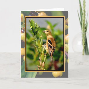 De Distelvink & Crabapples Notecard van de herfst Kaart