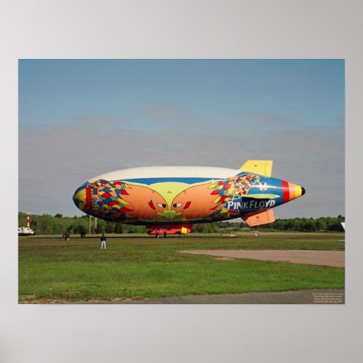 De divisie Belle Poster (Voorkant)