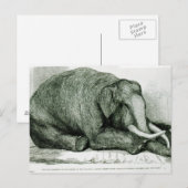 De dode olifant briefkaart (Voorkant / Achterkant)
