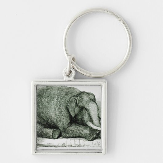 De dode olifant sleutelhanger (Voorkant)