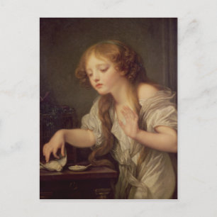 De dode vogel briefkaart