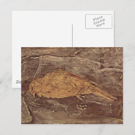 De dode vogel briefkaart (Voorkant / Achterkant)