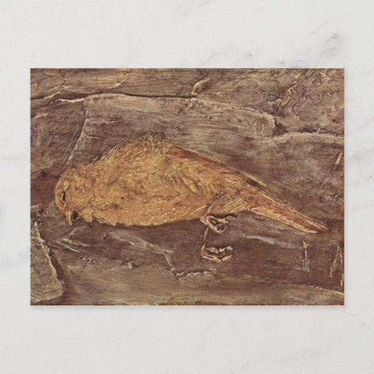 De dode vogel briefkaart (Voorkant)