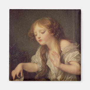 De dode vogel magneet