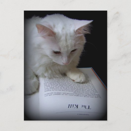 De doden briefkaart (Voorkant)