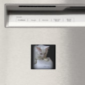 De doden magneet (Insitu (Vaatwasser))