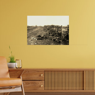 De doden van Antietam 1862 Burgeroorlog Sepia Poster