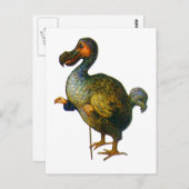 De Dodo Bird Briefkaart (Voorkant / Achterkant)