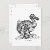 De Dodo Briefkaart (Voorkant / Achterkant)