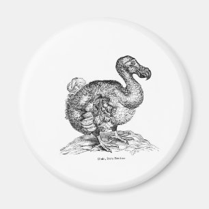 De Dodo Magneet