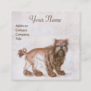 DE DOG/Affenpinscher/Veterinary,Veterinarian Vierkante Visitekaartje