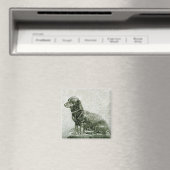 De Dog Jacob Magneet (Insitu (Vaatwasser))