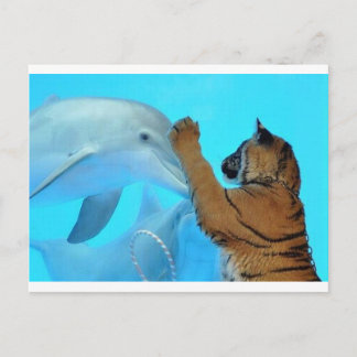 De dolfijn en de Tijger komen samen Briefkaart