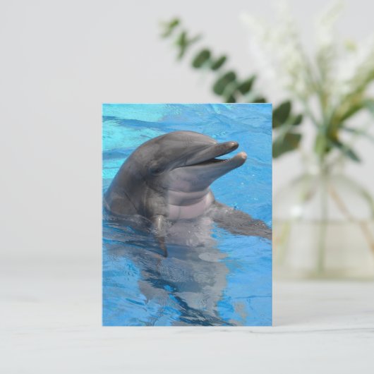 De Dolfijn van Florida Briefkaart (Staand voorkant)