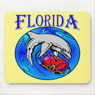 De Dolfijn van Florida & #USAPatriotGraphics © va Muismat