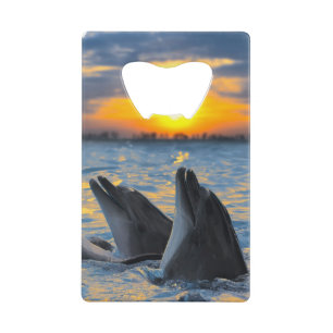 De dolfijnen zonder fles in zonlicht kredietkaart flessenopener