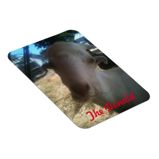 De Donald Magneet (Rechterzijde)