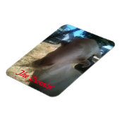 De Donald Magneet (Linkerzijde)